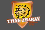 Tting Zmaray team